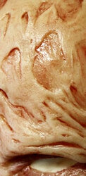 MASCHERA INDOSSABILE IN SILICONE DI ALTA QUALITÀ CINEMATOGRAFICA FREDDY KRUEGER 2008, ispirata al personaggio Freddy Krueger dei film 