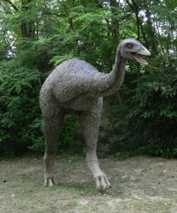 AEPYORNIS maximus Follow the link to the full album