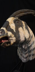  Parasaurolophus walkeri2006Acrylic paint.Display head for Exhibition 