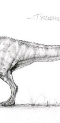  2008 T-rex, matita