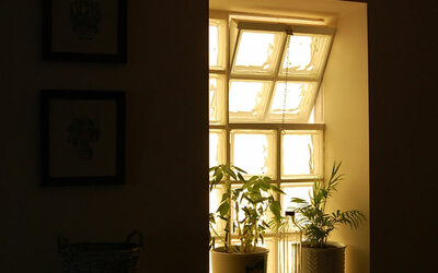 c77a56c82532a62e959291f84bca8e14da82f0a2