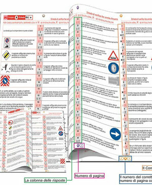 img_1345.jpeg img_1345.jpeg