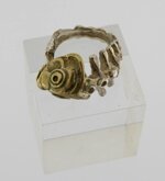 anello-a-forma-di-lisca