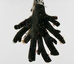 ciondolo-corallo-in-perle