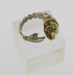 anello-a-forma-di-lisca