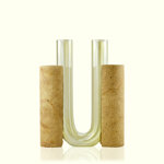 cochlea-dello-sviluppo-giallo-siena