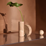 cochlea-della-metamorfosi-n2-terra-dombra