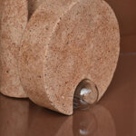 cochlea-della-metamorfosi-n2-terra-dombra