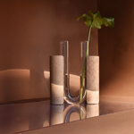 cochlea-dello-sviluppo-terra-dombra