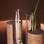 cochlea-dello-sviluppo-terra-dombra