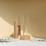 cochlea-della-consapevolezza-terra-dombra