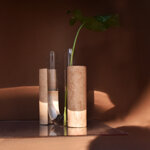 cochlea-dello-sviluppo-terra-dombra