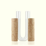 cochlea-dello-sviluppo-terra-dombra