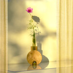 cochlea-della-metamorfosi-n2-giallo-siena