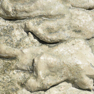coki.%20duty%20coral%20mineral%20stone.jpeg