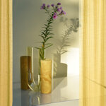 cochlea-dello-sviluppo-giallo-siena