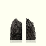 catharsis-bookends-nero-vite