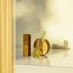 cochlea-della-metamorfosi-n2-giallo-siena