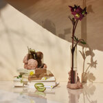 catharsis-bowl-corallium