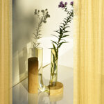 cochlea-della-consapevolezza-giallo-siena