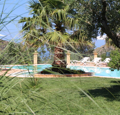 Piscina esterna e giardino