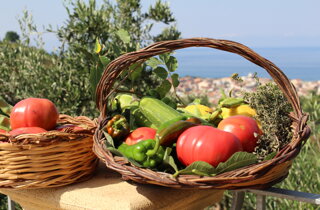 cestino ortaggi panorama