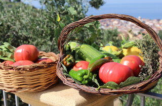 cestino ortaggi vista castello