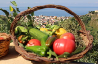 Cestino ortaggi amantea