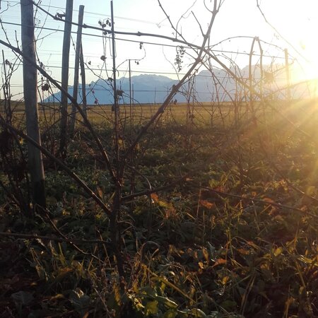 2db02224ae2a0ad3df1d60f0eedf3bdc62759270