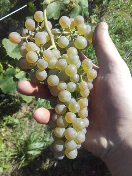 6d9968f1d1ee7707981d5f210355fb757242df3c