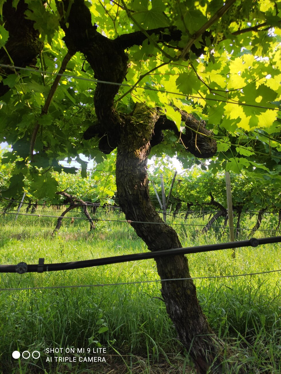 7aa85e88b06483e49e4c5e2eca79940c7c2ff329 7aa85e88b06483e49e4c5e2eca79940c7c2ff329