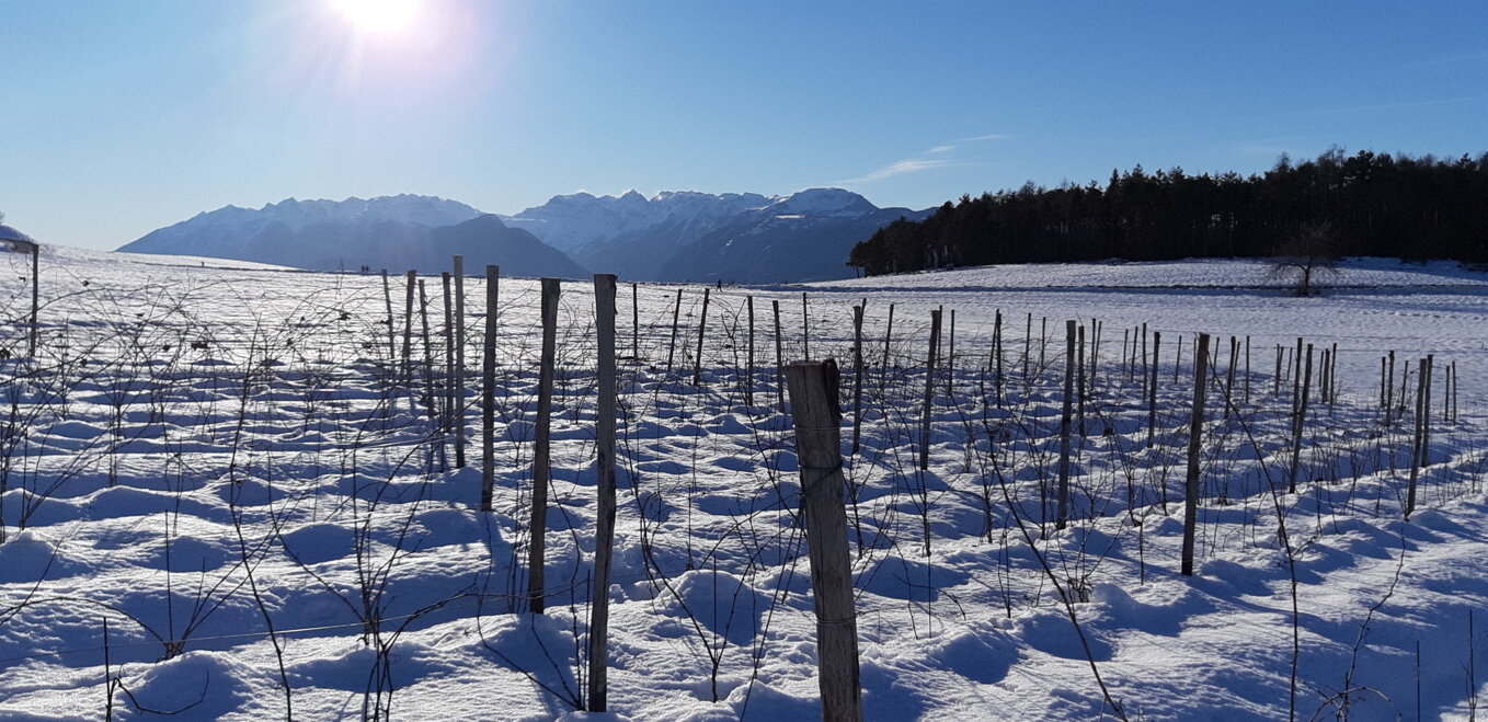 a037cf2aaf0a0ebfa48f37fd9dd66c00e3bbf143