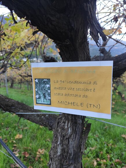 d1923e333577aa6468bd79f144b469e001ade569 d1923e333577aa6468bd79f144b469e001ade569