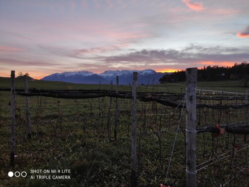 f344952388467a6654112f9a93b643550899766d f344952388467a6654112f9a93b643550899766d