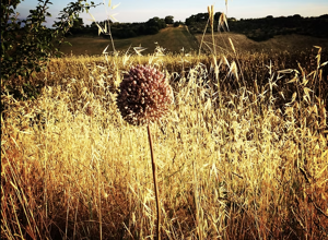 screenshot%202025-10-30%20161324