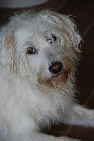 1ebc65bccc63287e4e69c53ab2d2468d96779164