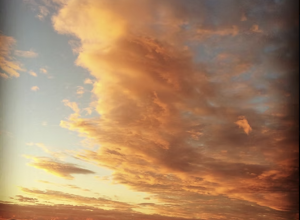 screenshot%202025-10-30%20161611