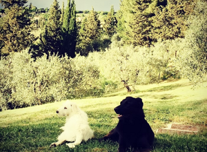 screenshot%202025-10-30%20161447