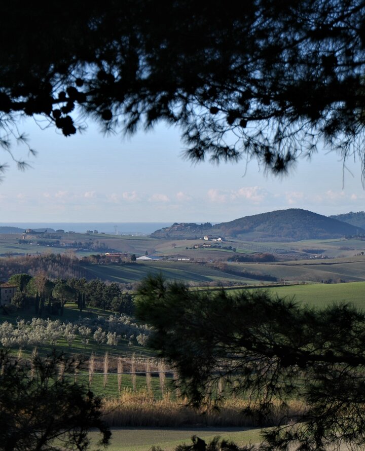 42539705483c3ef5091195766ba694dd9043447e