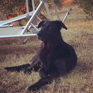 8391fd9267a2a928127db51933e16e770fa7dade