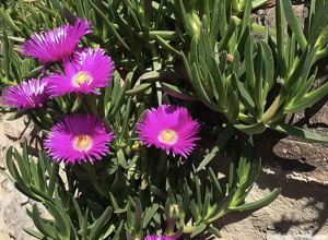 screenshot%202025-10-30%20161333