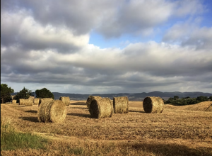 screenshot%202025-10-30%20161636