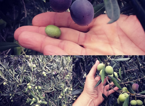 screenshot%202025-10-30%20161509