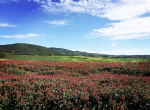 screenshot%202025-10-30%20161349