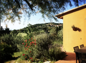 screenshot%202025-10-30%20161409