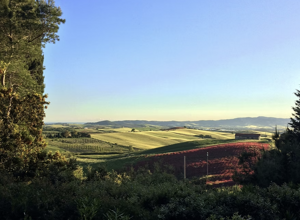 screenshot%202025-10-30%20161403