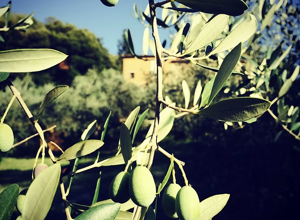 screenshot%202025-10-30%20161529