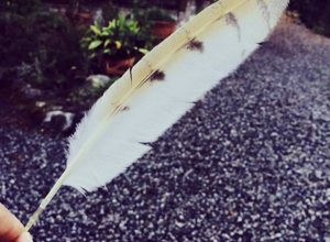 screenshot%202025-10-30%20161555