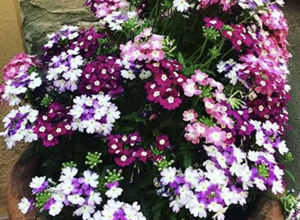 screenshot%202025-10-30%20161523