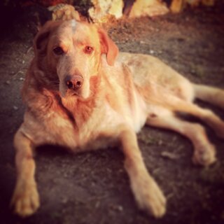 ea5af7eeac206ec9a0a606c75391044ed82a0fa3